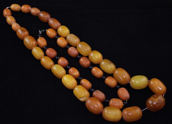 Two single strand amber bead necklaces, 16in.